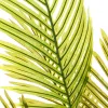Dekoratyvinis augalas Polietilenas Plastmasinis Palmė 45 x 45 x 114 cm