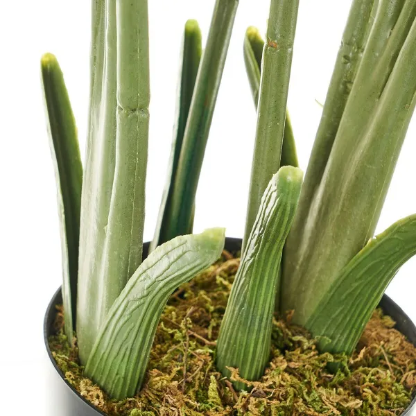 Dekoratyvinis augalas Polietilenas Plastmasinis Palmė 45 x 45 x 114 cm
