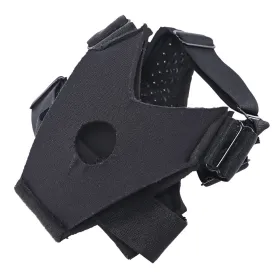 New Comers Strap Sportsheets Pivot Blue