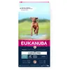 Fodder Eukanuba Venison Veal 12 kg