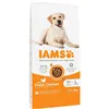 Fodder IAMS Vitality Adult Large Breed Chicken 12 kg