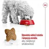 Fodder Royal Canin Adult Mini S Birds 8 kg