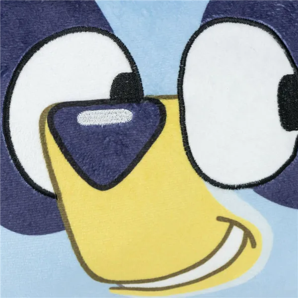 Cushion Bluey