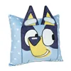 Cushion Bluey