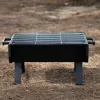 Nešiojamasis Barbekiu Aktive Plienas 45 x 25 x 30 cm Juoda (2 vnt.)