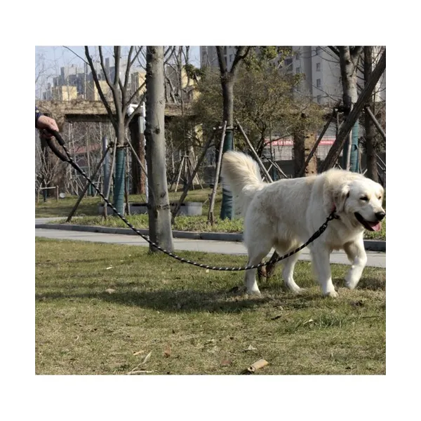 Светоотражающий поводок тренировочный 3м Purlov 21654