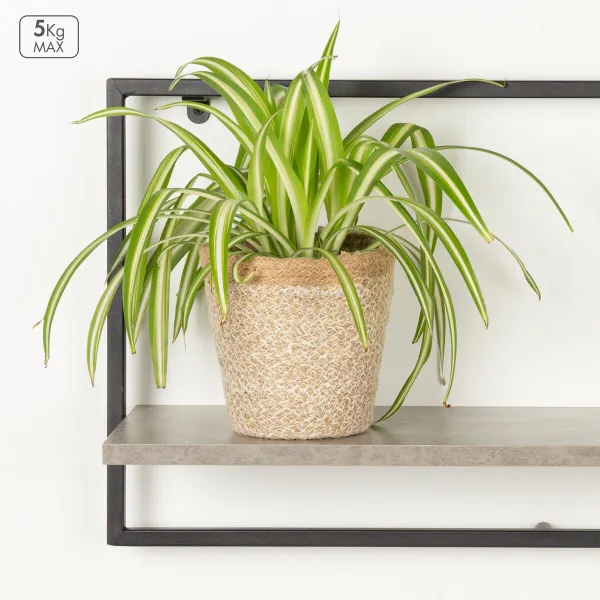 Полки Max Home Железо Деревянный MDF 65 X 35 X 20 CM (4 штук)