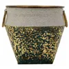 Planter Alexandra House Living Gold Iron 27 x 25 x 27 cm