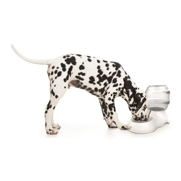 Pet Water Fountain MPETS White Plastic 3,5 L