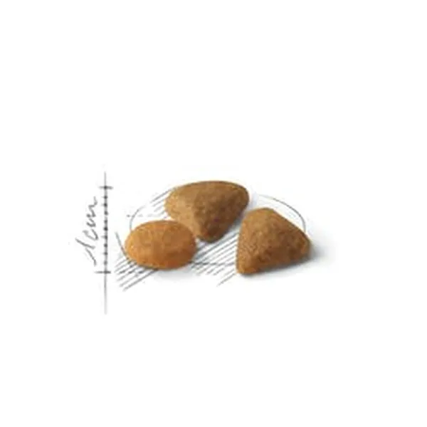 Корм для котов Royal Canin Feline Savour Exigent 4kg Для взрослых Курица 4 кг