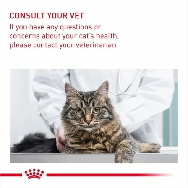 Корм для котов Royal Canin Для взрослых Курица рис Кукуруза Растительный птицы 10 kg