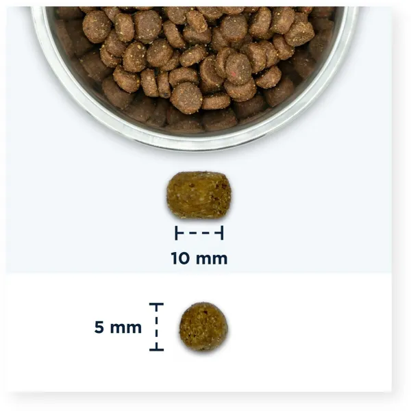 Kačių maistas Eukanuba Adult Chicken Višta 2 Kg