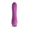 Bullet Vibrator NS Novelties Charms Fern Ruby Red