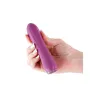 Bullet Vibrator NS Novelties Charms Fern Ruby Red