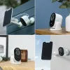 Analinis kištukas NS Novelties Rear Assets Purpurinė (5 cm)