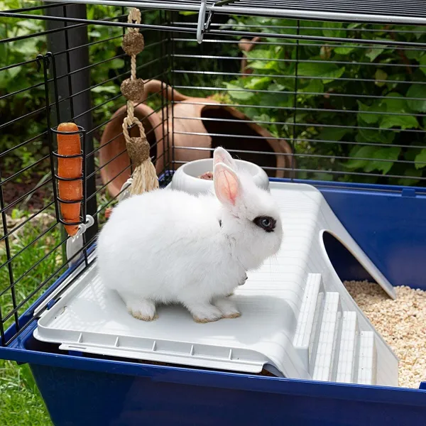 Häkki Ferplast Rabbit 120 Metalli Muovinen 11,8 x 58,5 x 49,5 cm