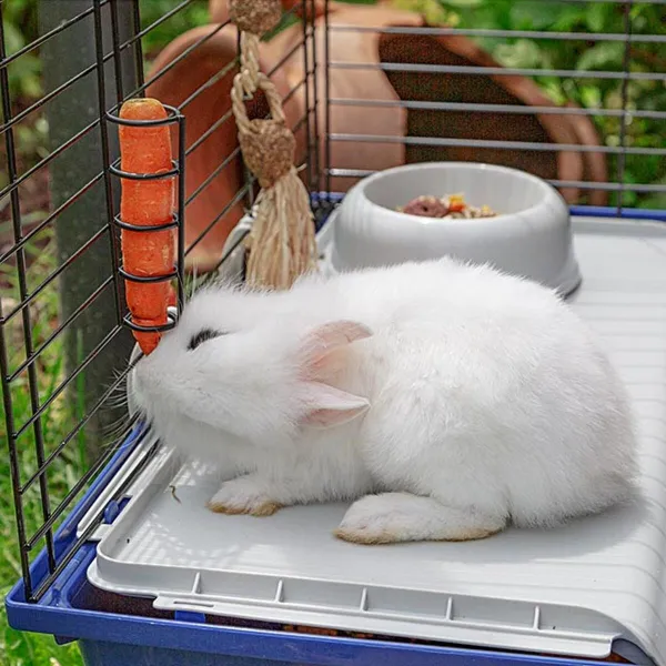 Narvas Ferplast Rabbit 120 Metalinis Plastmasinis 11,8 x 58,5 x 49,5 cm