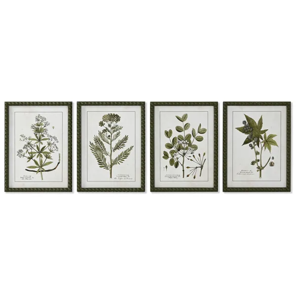 Painting Home ESPRIT Green Beige Shabby Chic Botanical plants 30 x 2,5 x 40 cm (4 Units)