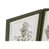 Painting Home ESPRIT Green Beige Shabby Chic Botanical plants 30 x 2,5 x 40 cm (4 Units)