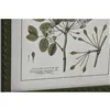 Painting Home ESPRIT Green Beige Shabby Chic Botanical plants 30 x 2,5 x 40 cm (4 Units)