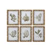 Painting Home ESPRIT Green Beige Golden Botanical plants 28 x 2,8 x 36 cm (6 Units)