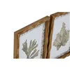 Painting Home ESPRIT Green Beige Golden Botanical plants 28 x 2,8 x 36 cm (6 Units)