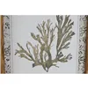 Painting Home ESPRIT Green Beige Golden Botanical plants 28 x 2,8 x 36 cm (6 Units)