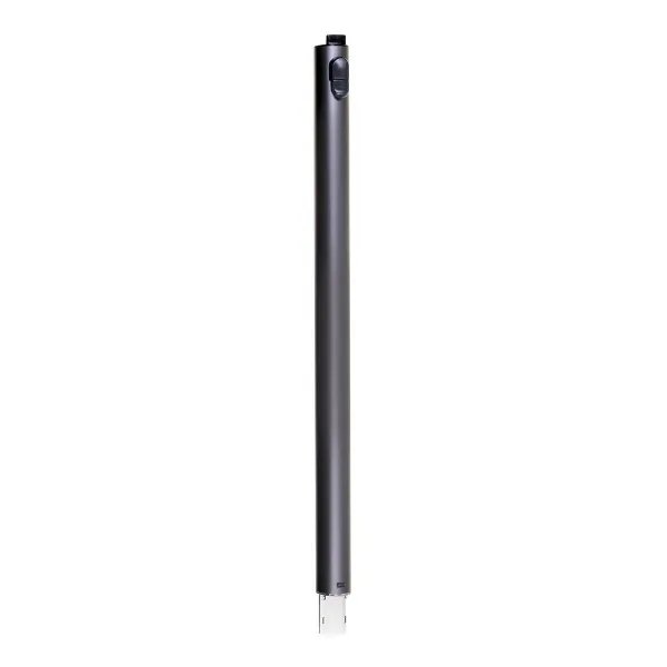 Stick Vacuum Cleaner Samsung VS20B75ACR5/GE 550 W 25 x 113 x 21,5 cm