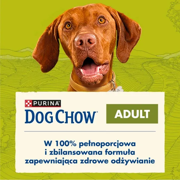 Rehu Purina Dog Chow Adult Lamb Karitsa 16,5 kg