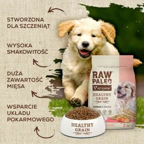 Дилдо NS Novelties Colours Разноцветный Ø 4,1 cm