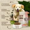 Pašarai VETEXPERT Raw Paleo Healthy Grain Puppy Salmon y cebada Lašišos raudonumo spalva 2 Kg