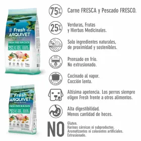 Apatiniai komplektai Fantasy Lingerie Juoda (XL/XXL)