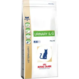 Apatiniai komplektai Fantasy Lingerie Auksinis (Queen size)