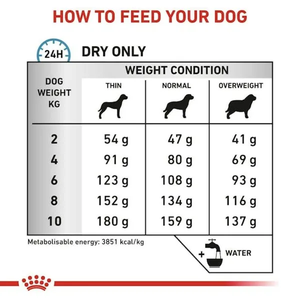 Фураж Royal Canin Для взрослых Мясо птицы 3 Kg