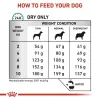 Fodder Royal Canin Adult Meat Birds 3 Kg