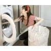 Filtro rutuliai „Malatec 21046“ smėlio siurbliui