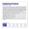 Fodder VETEXPERT Dermatosis Salmon 2 Kg