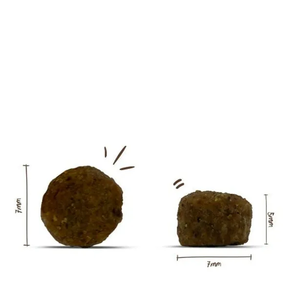 Pašarai BOSCH Sanabelle Adult Poultry 2 Kg