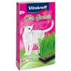 Snack for Cats Vitakraft Cat Grass