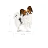 Rehu Royal Canin Adult x- small SHN Linnut 3 Kg