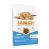 Cat food IAMS Advanced Nutrition Fish 10 kg