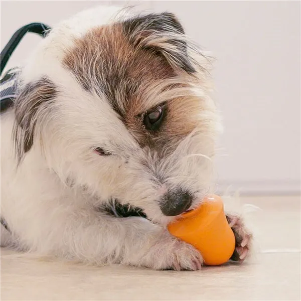 Dog chewing toy Ferplast White Orange Natural rubber animals