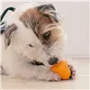 Dog chewing toy Ferplast White Orange Natural rubber animals