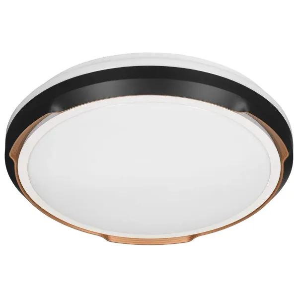 Ceiling Light Activejet AJE-PETRUS 24W White Black Copper 80 24 W (4000 K)