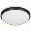 Ceiling Light Activejet AJE-PETRUS 24W White Black Copper 80 24 W (4000 K)