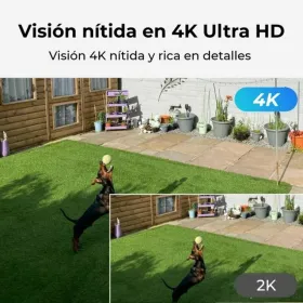 Uzraudzības Videokameras Reolink P330