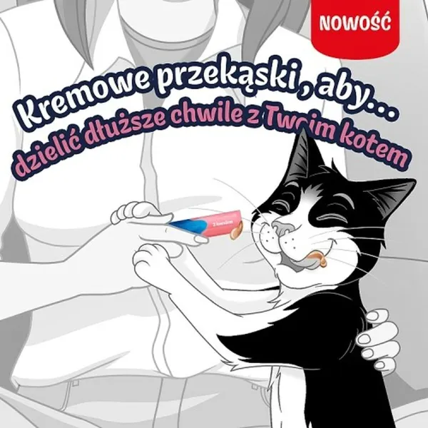 Snack for Cats Purina Felix Deli Moments Salmon Laša krāsas 4 x 10 g