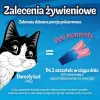 Snack for Cats Purina Felix Deli Moments Salmon Lohi 4 x 10 g