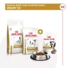 Dog Snack Royal Canin Urinary S/O Treats 230 g