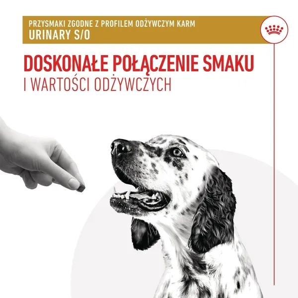 Dog Snack Royal Canin Urinary S/O Treats 230 g